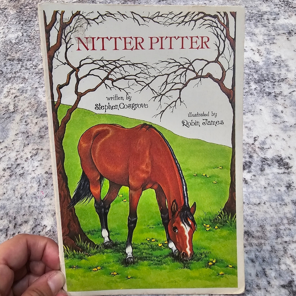 Vintage 1970s Serendipity Book